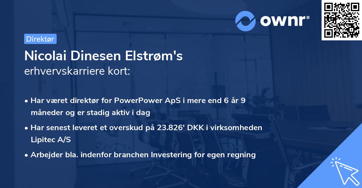 Nicolai Dinesen Elstrøm's erhvervskarriere kort