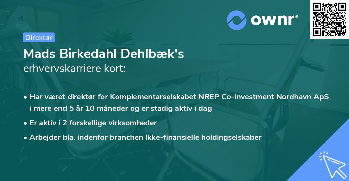 Mads Birkedahl Dehlbæk's erhvervskarriere kort