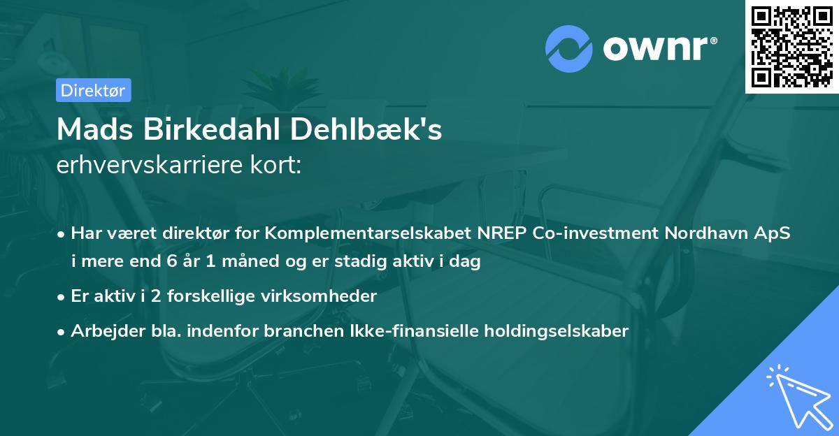 Mads Birkedahl Dehlbæk's erhvervskarriere kort