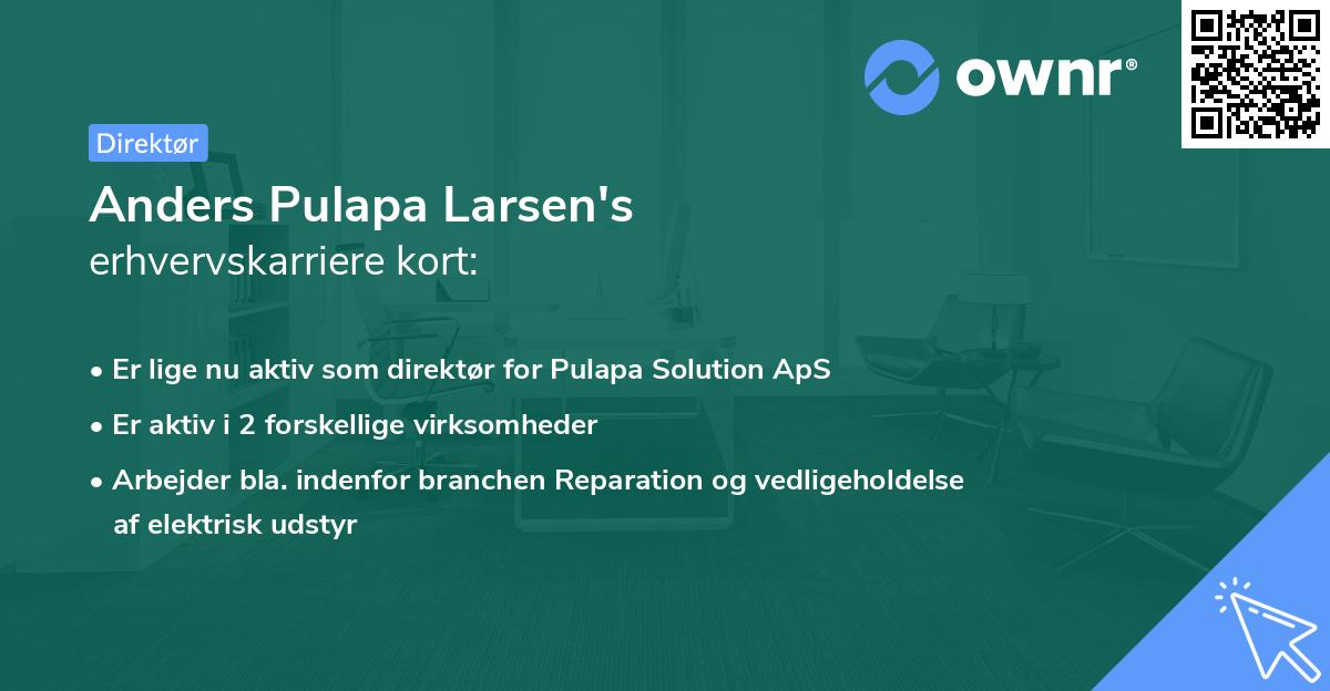 Anders Pulapa Larsen's erhvervskarriere kort
