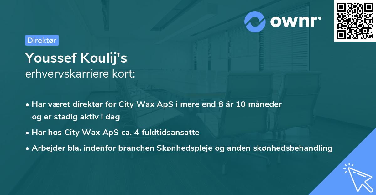 Youssef Koulij's erhvervskarriere kort