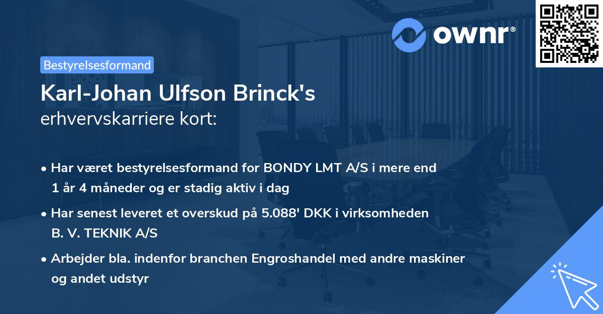 Karl-Johan Ulfson Brinck's erhvervskarriere kort