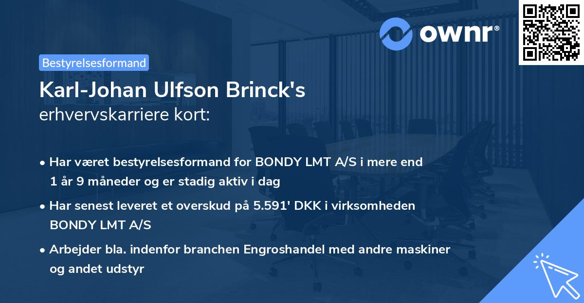 Karl-Johan Ulfson Brinck's erhvervskarriere kort