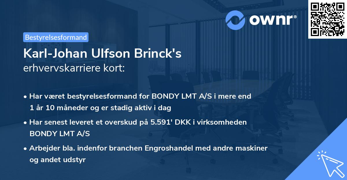 Karl-Johan Ulfson Brinck's erhvervskarriere kort