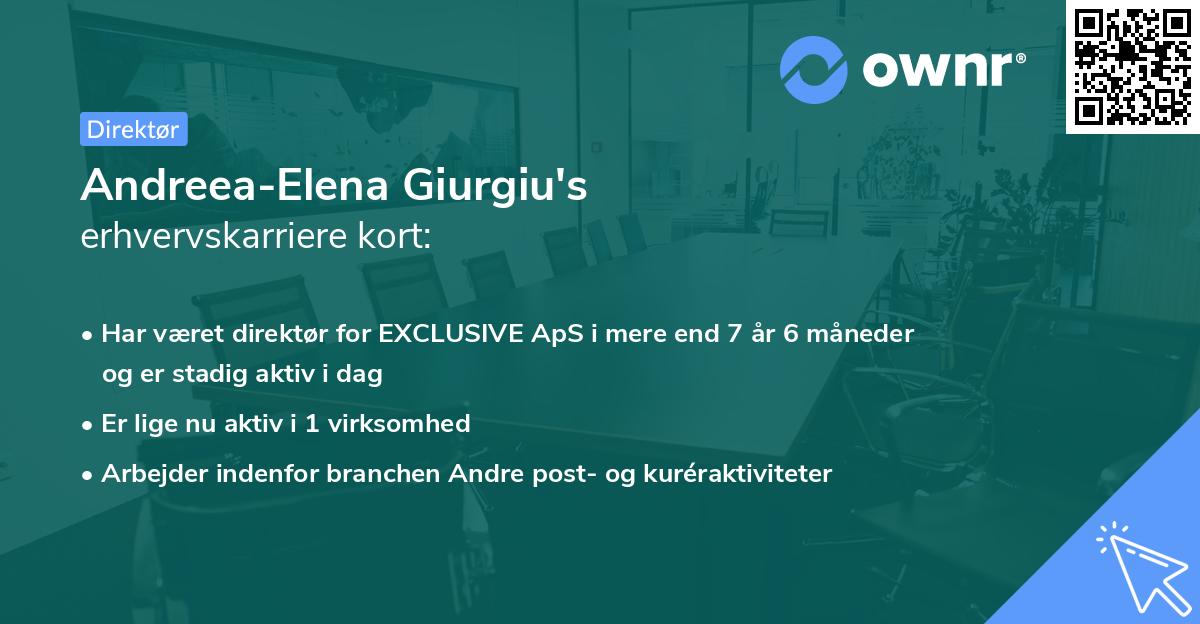 Andreea-Elena Giurgiu's erhvervskarriere kort