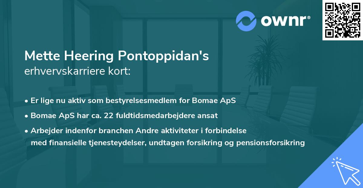Mette Heering Pontoppidan's erhvervskarriere kort
