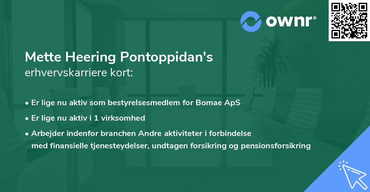 Mette Heering Pontoppidan's erhvervskarriere kort