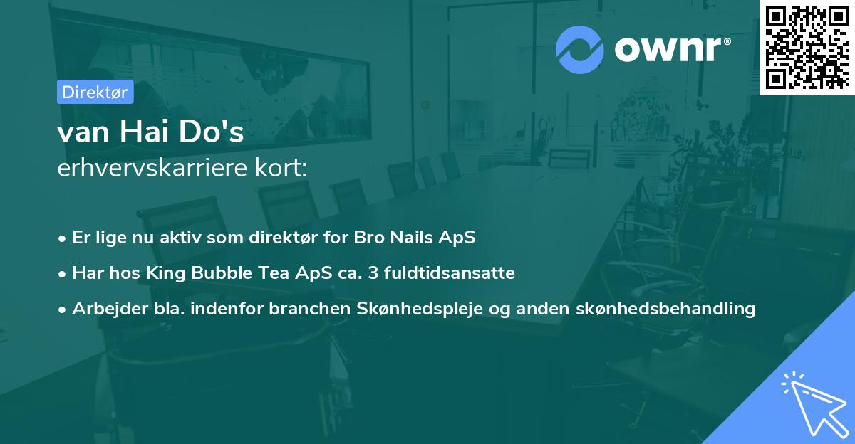 van Hai Do's erhvervskarriere kort