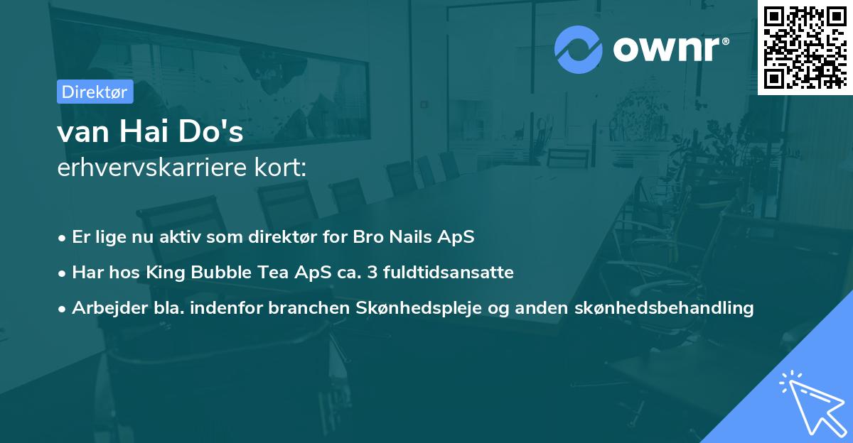van Hai Do's erhvervskarriere kort