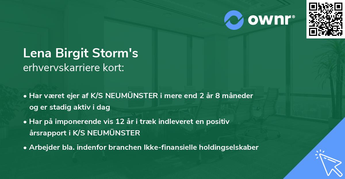 Lena Birgit Storm's erhvervskarriere kort
