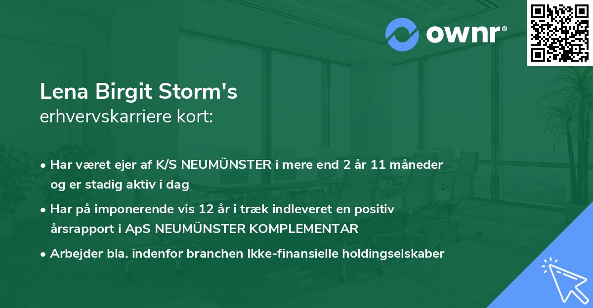 Lena Birgit Storm's erhvervskarriere kort