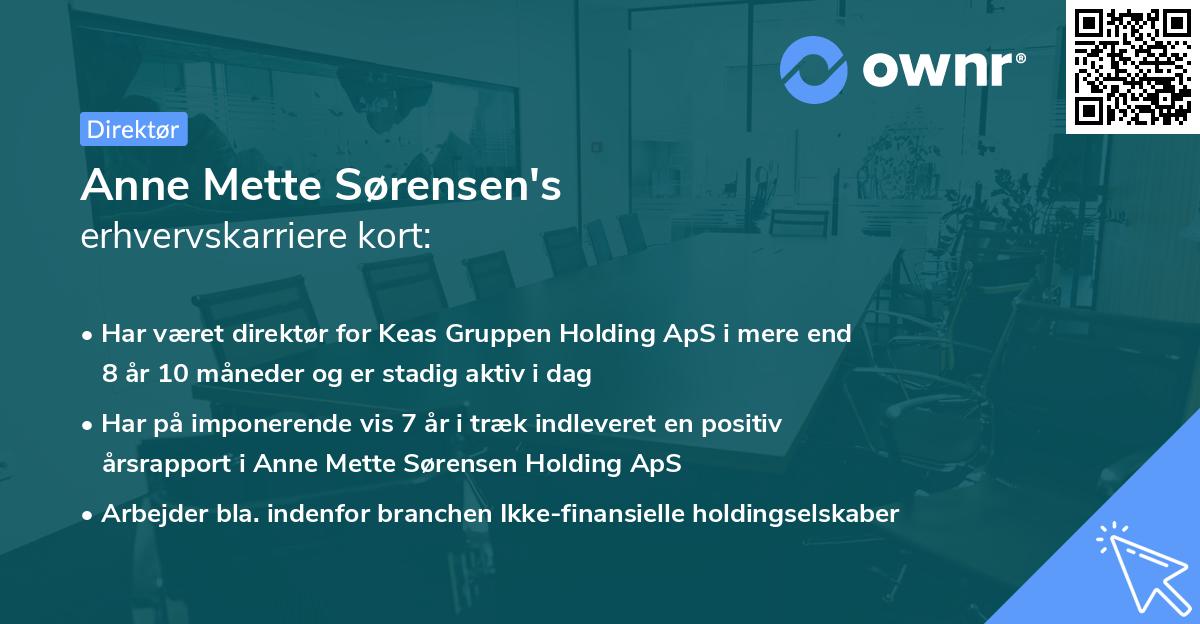 Anne Mette Sørensen's erhvervskarriere kort