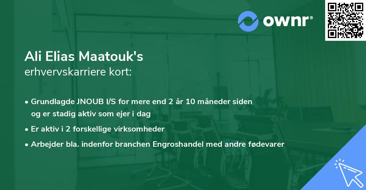 Ali Elias Maatouk's erhvervskarriere kort
