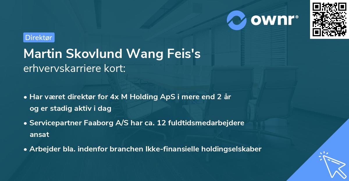 Martin Skovlund Wang Feis's erhvervskarriere kort