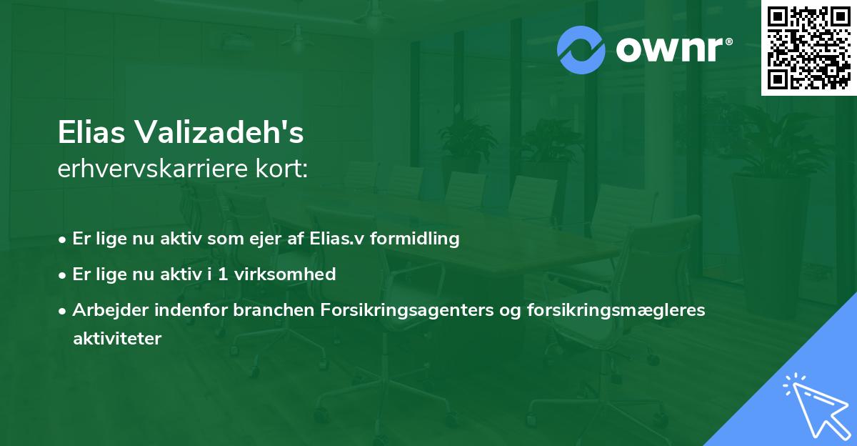 Elias Valizadeh's erhvervskarriere kort
