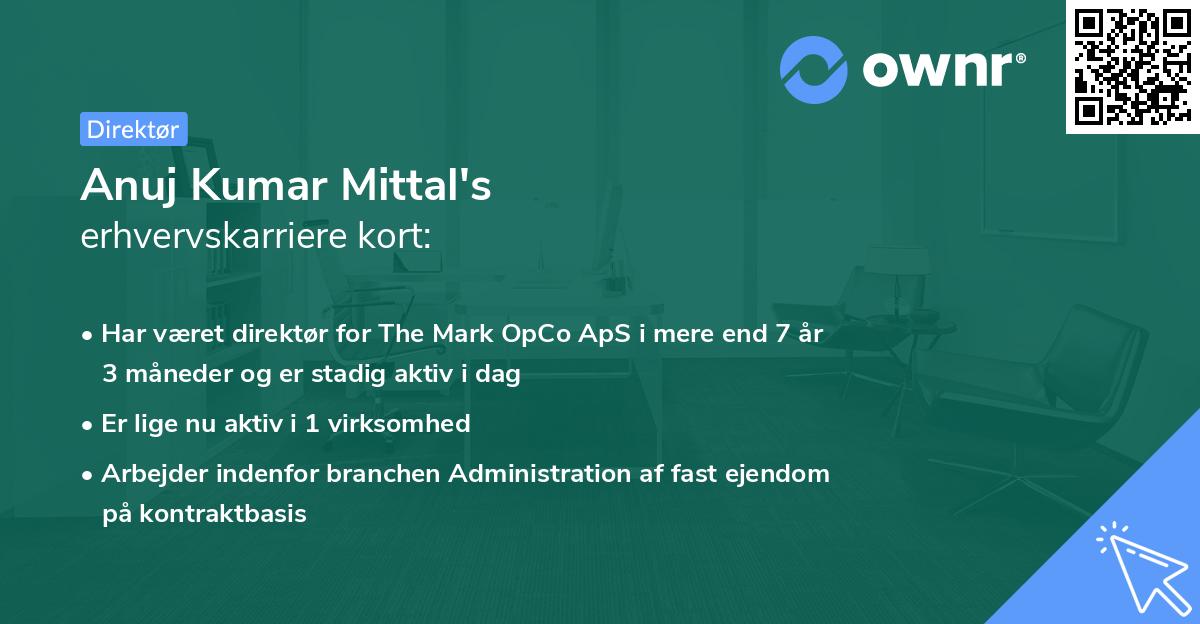 Anuj Kumar Mittal's erhvervskarriere kort