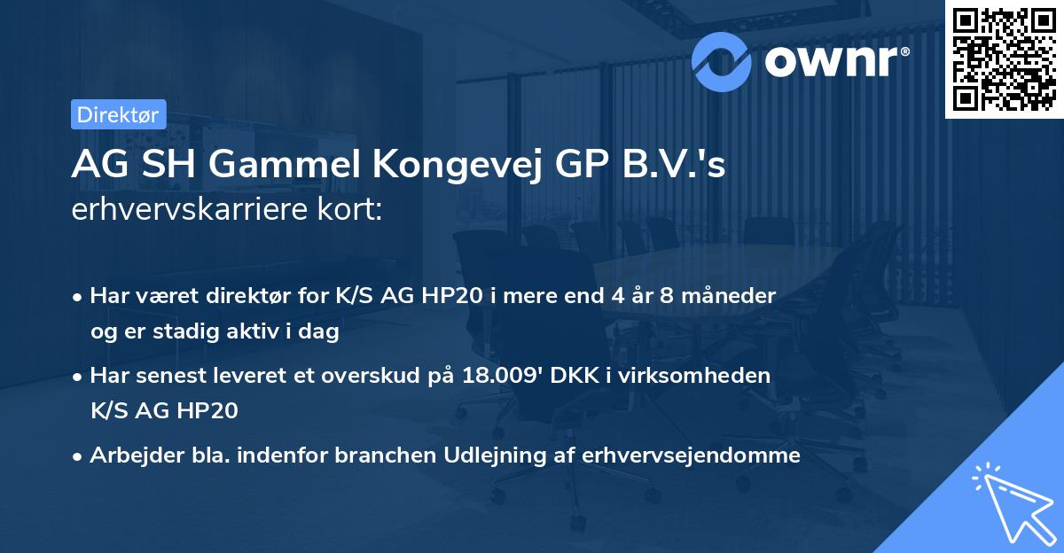 AG SH Gammel Kongevej GP B.V.'s erhvervskarriere kort