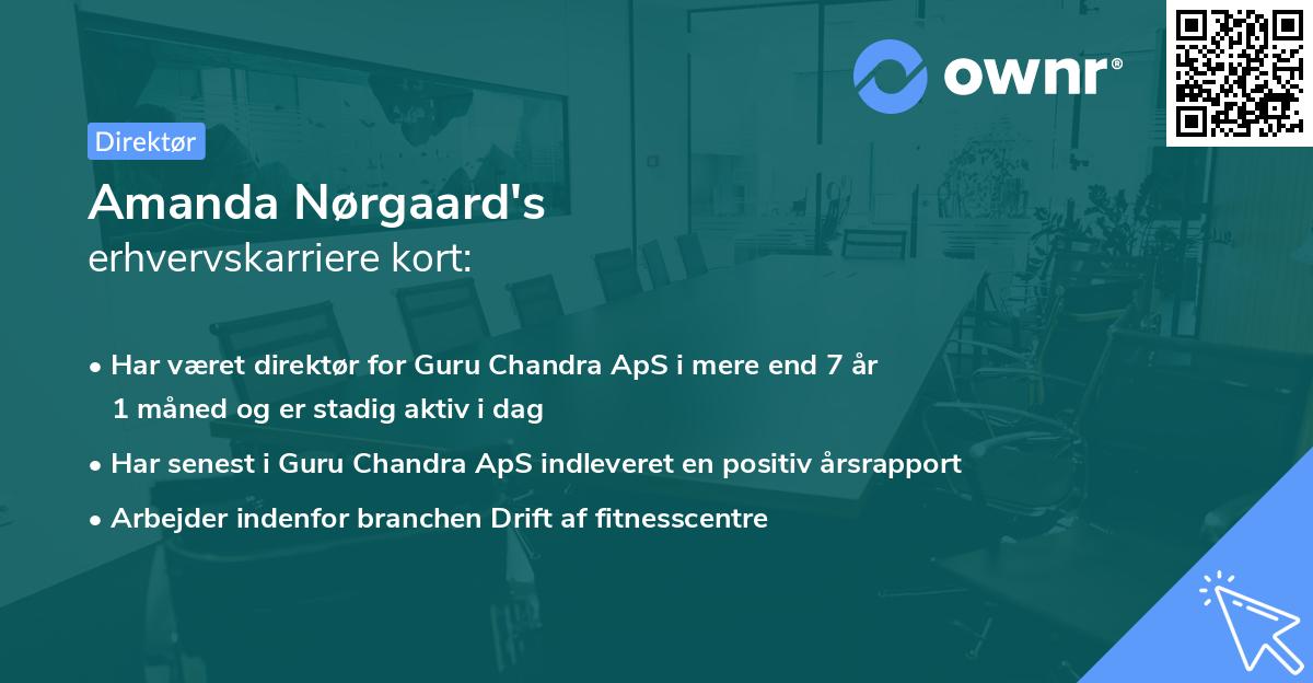 Amanda Nørgaard's erhvervskarriere kort