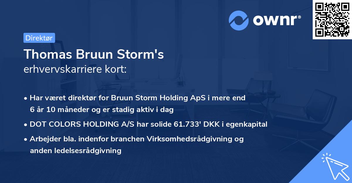 Thomas Bruun Storm's erhvervskarriere kort
