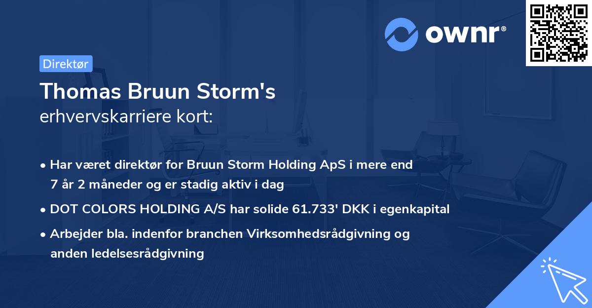 Thomas Bruun Storm's erhvervskarriere kort