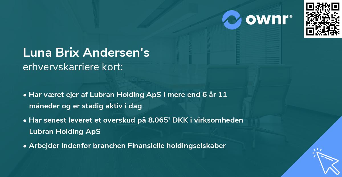 Luna Brix Andersen's erhvervskarriere kort