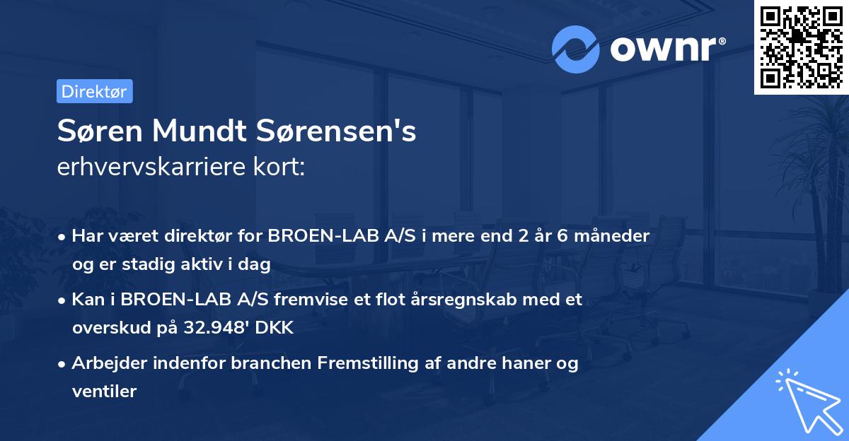 Søren Mundt Sørensen's erhvervskarriere kort