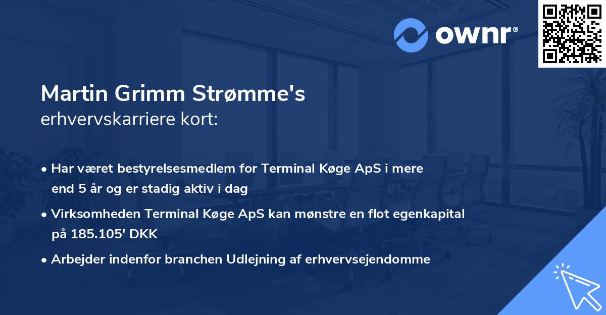 Martin Grimm Strømme's erhvervskarriere kort