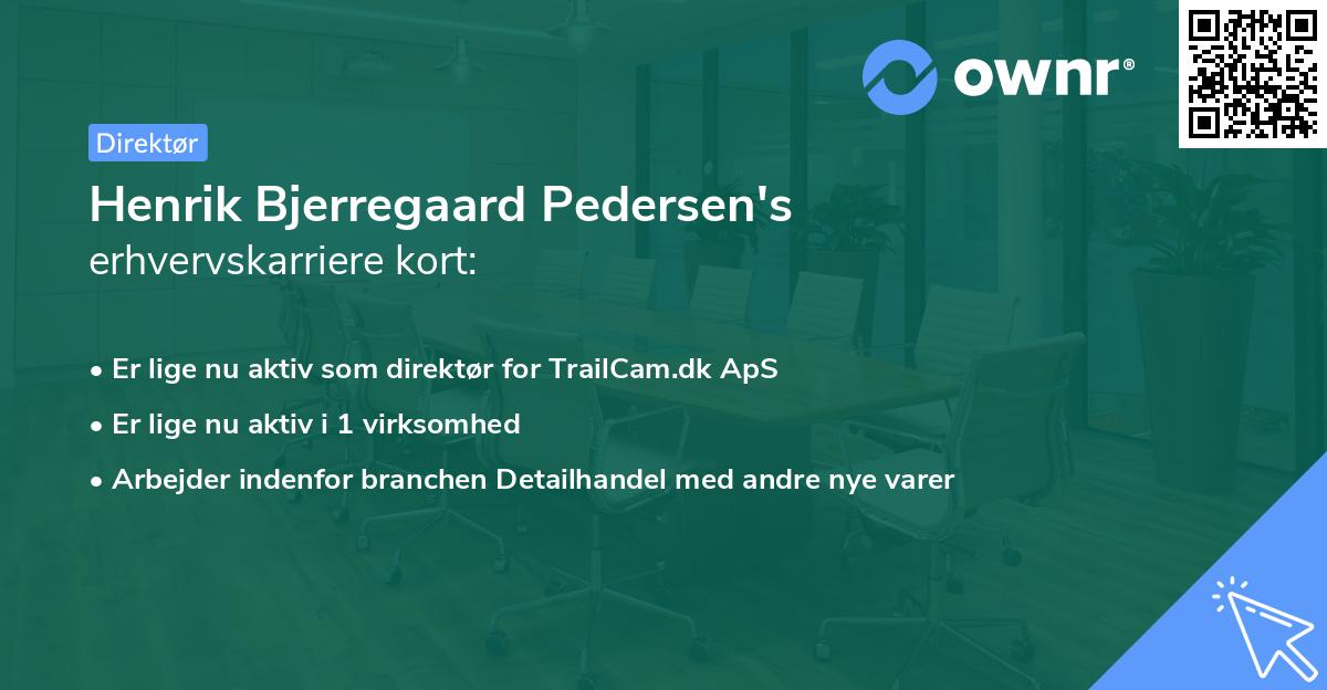 Henrik Bjerregaard Pedersen's erhvervskarriere kort