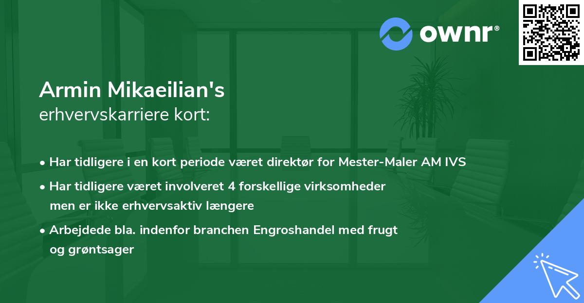 Armin Mikaeilian's erhvervskarriere kort