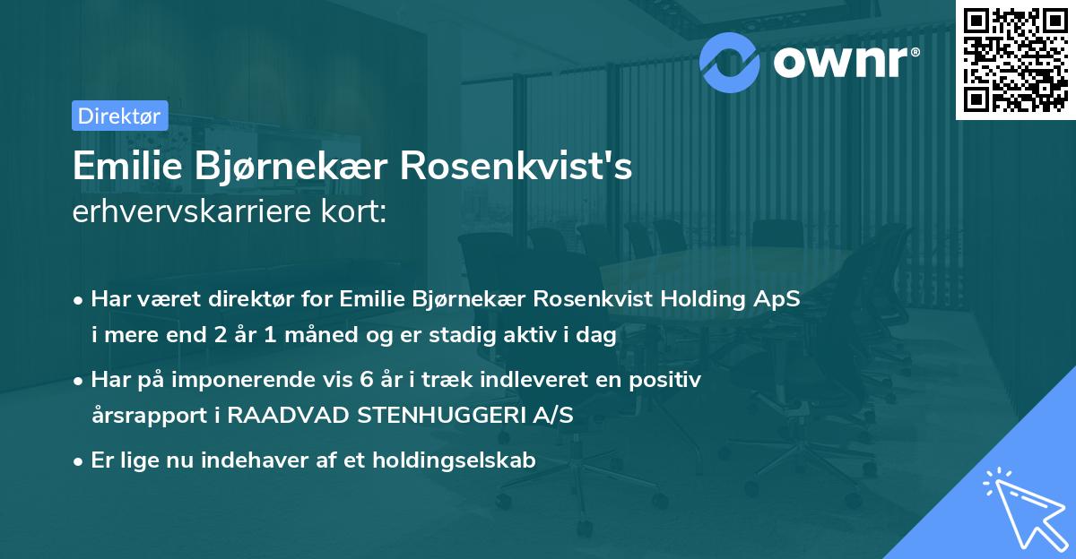 Emilie Bjørnekær Rosenkvist's erhvervskarriere kort