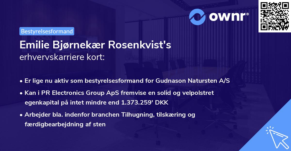 Emilie Bjørnekær Rosenkvist's erhvervskarriere kort
