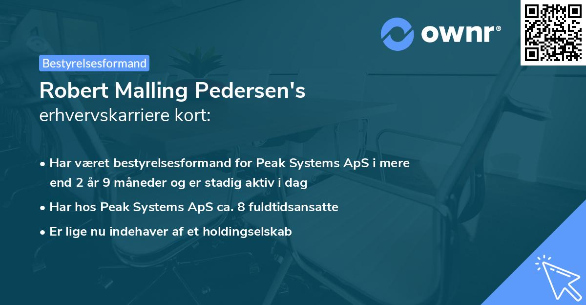 Robert Malling Pedersen's erhvervskarriere kort