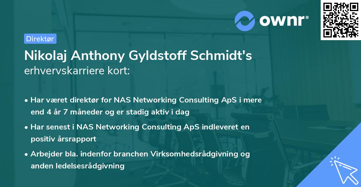 Nikolaj Anthony Gyldstoff Schmidt's erhvervskarriere kort