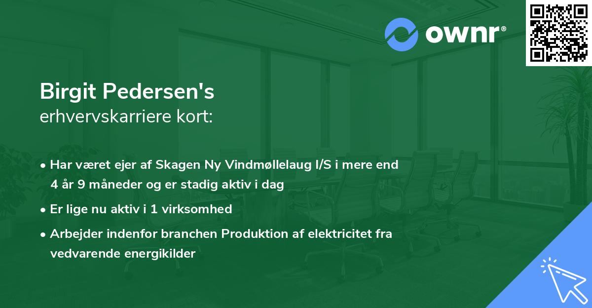 Birgit Pedersen's erhvervskarriere kort