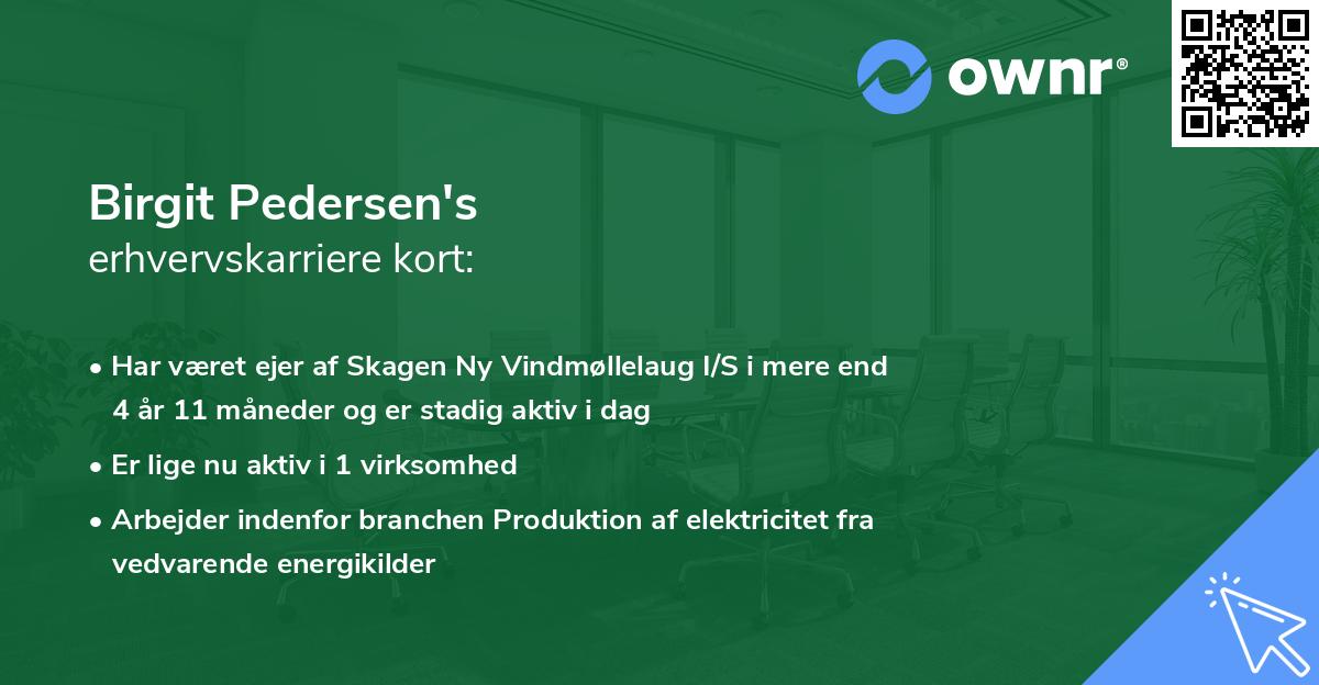 Birgit Pedersen's erhvervskarriere kort