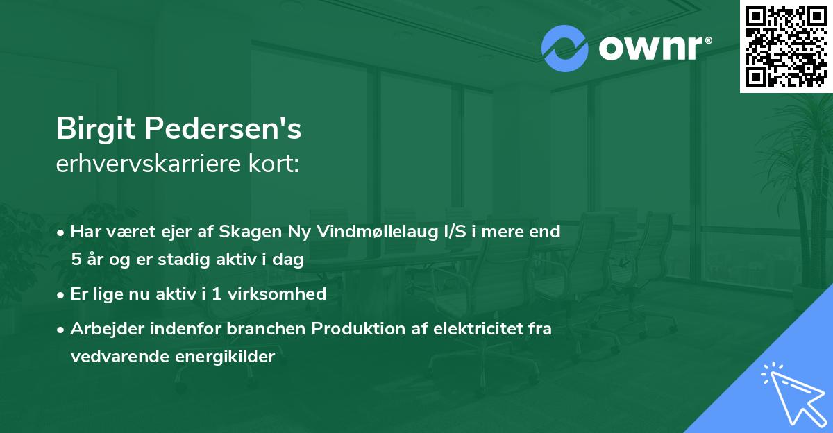 Birgit Pedersen's erhvervskarriere kort