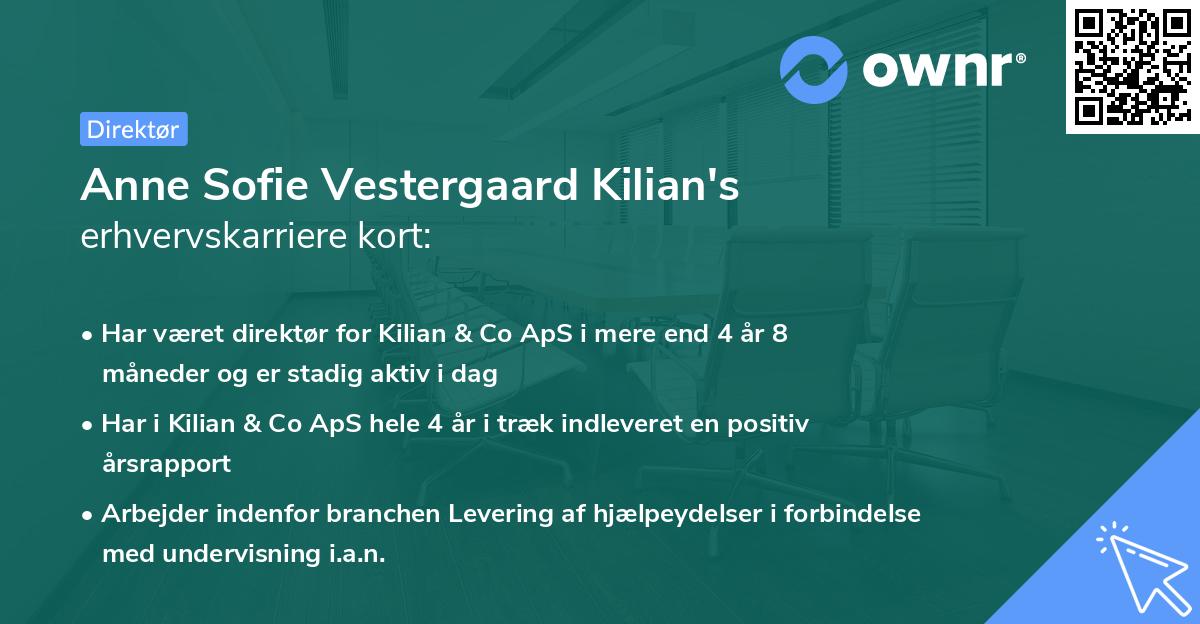 Anne Sofie Vestergaard Kilian's erhvervskarriere kort