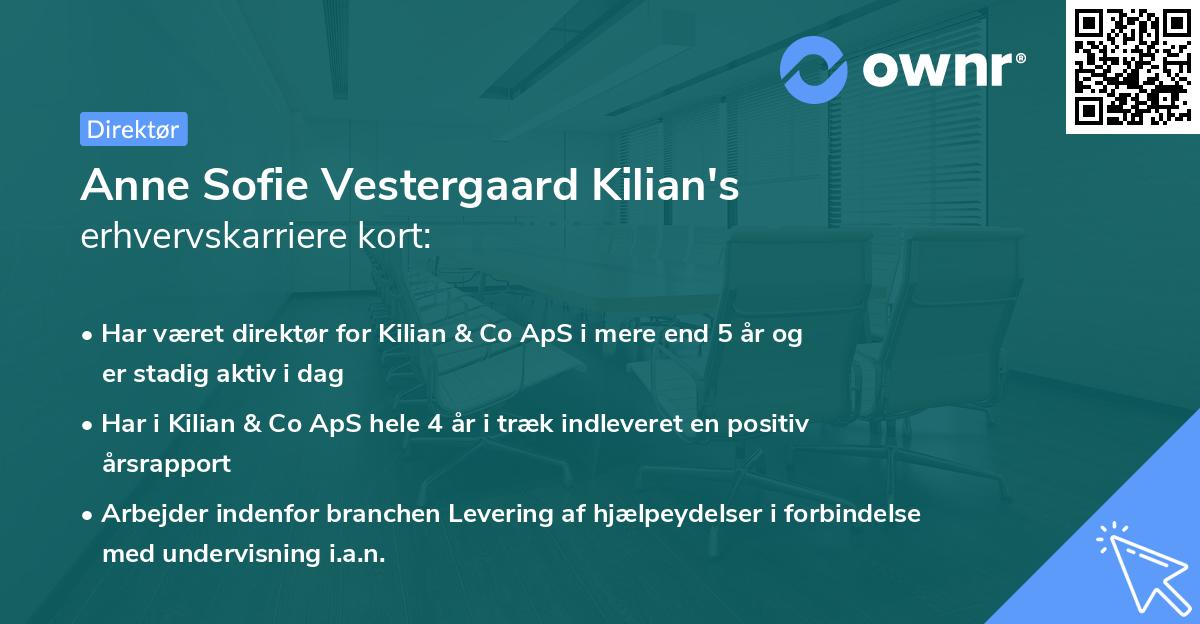 Anne Sofie Vestergaard Kilian's erhvervskarriere kort