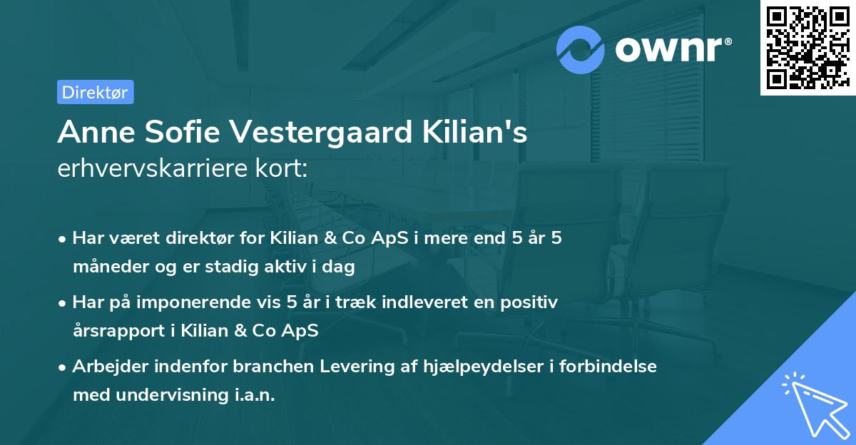 Anne Sofie Vestergaard Kilian's erhvervskarriere kort