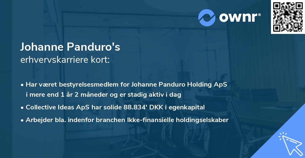 Johanne Panduro's erhvervskarriere kort