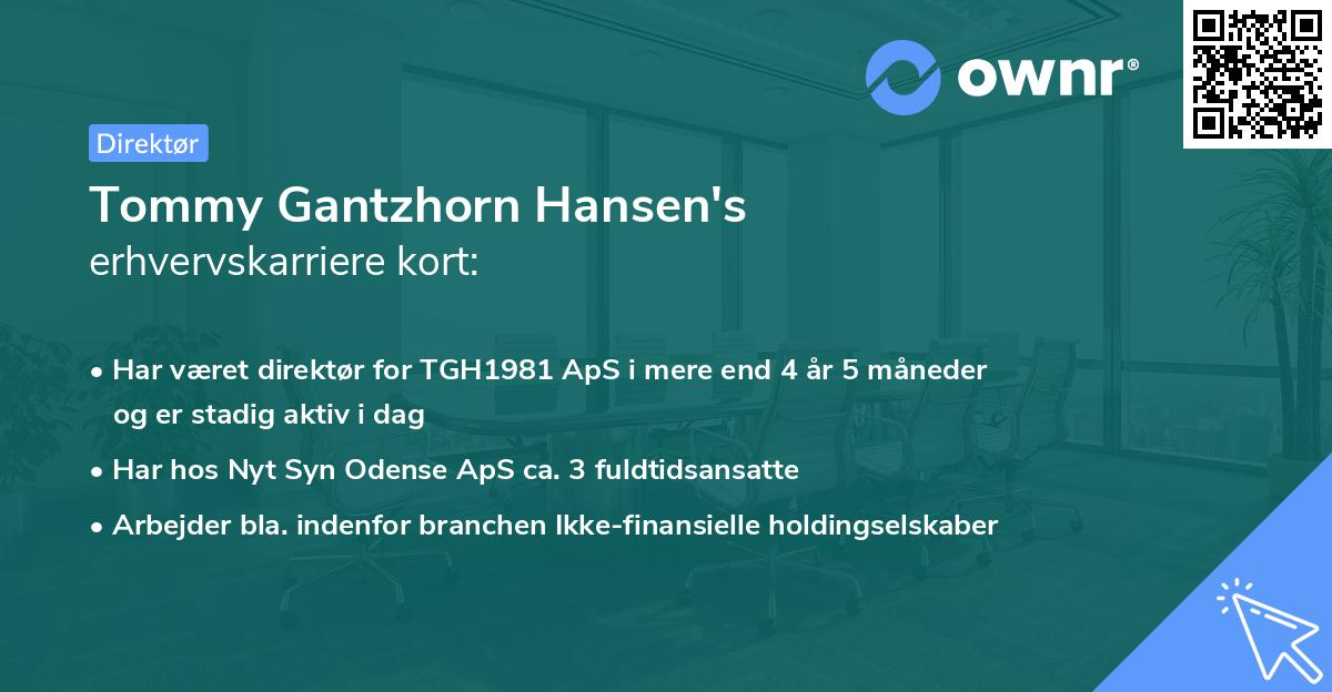 Tommy Gantzhorn Hansen's erhvervskarriere kort