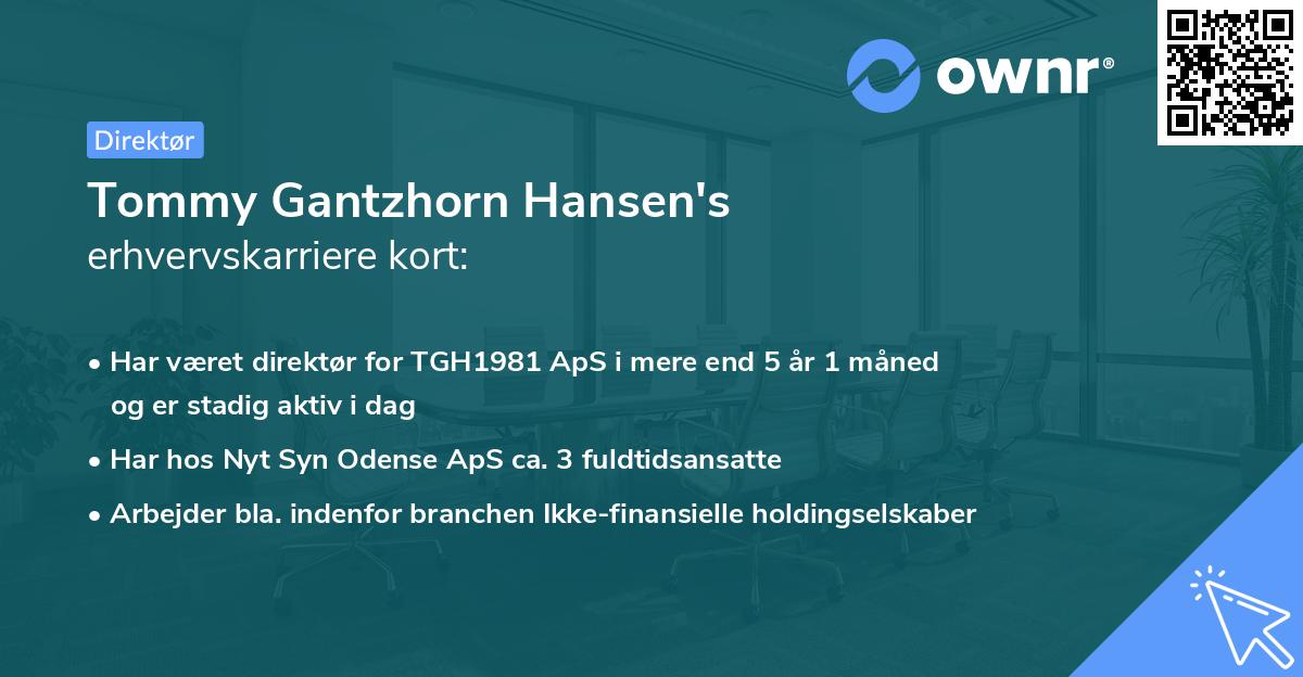 Tommy Gantzhorn Hansen's erhvervskarriere kort
