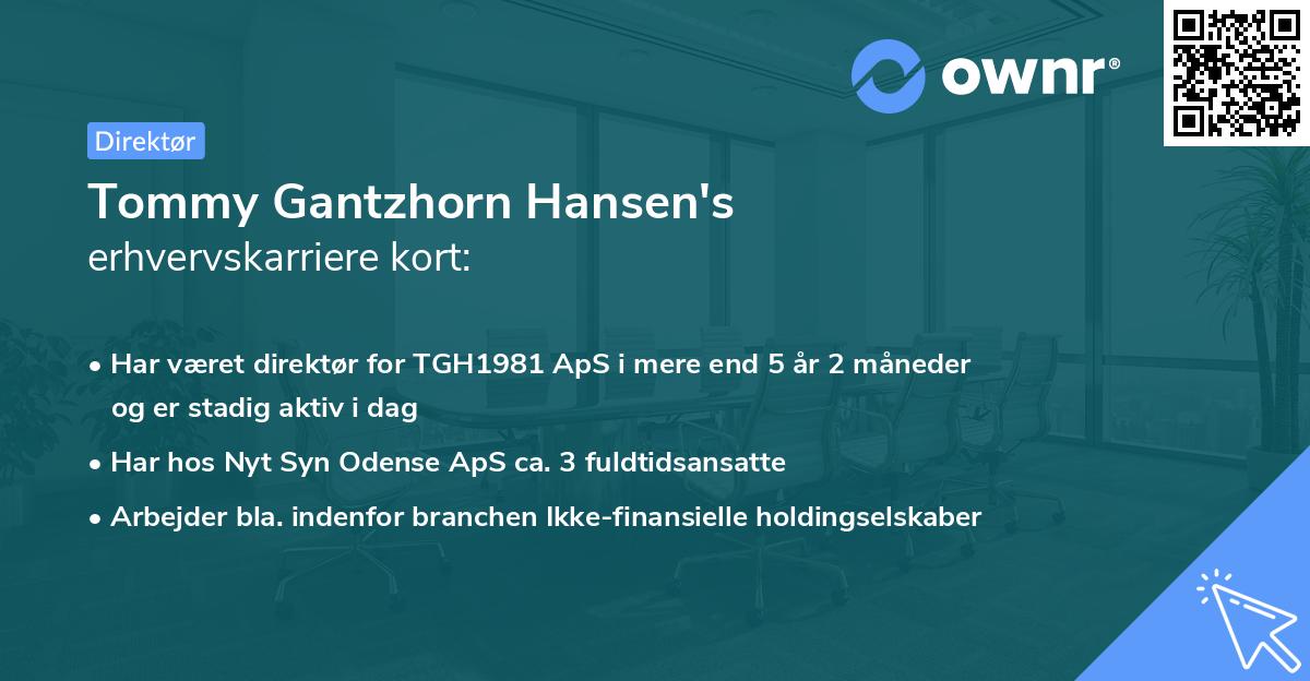 Tommy Gantzhorn Hansen's erhvervskarriere kort