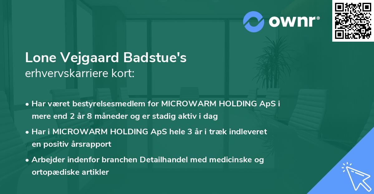 Lone Vejgaard Badstue's erhvervskarriere kort