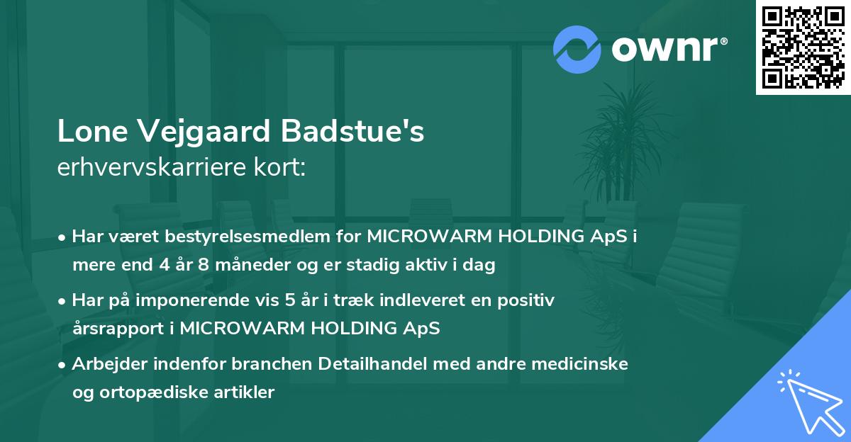 Lone Vejgaard Badstue's erhvervskarriere kort