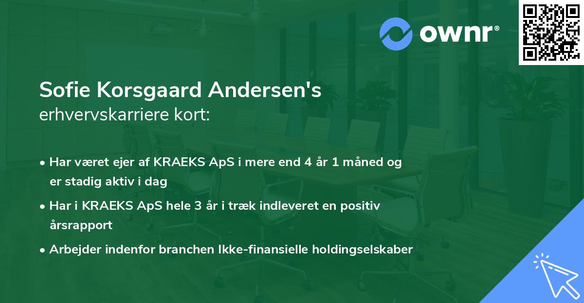 Sofie Korsgaard Andersen's erhvervskarriere kort