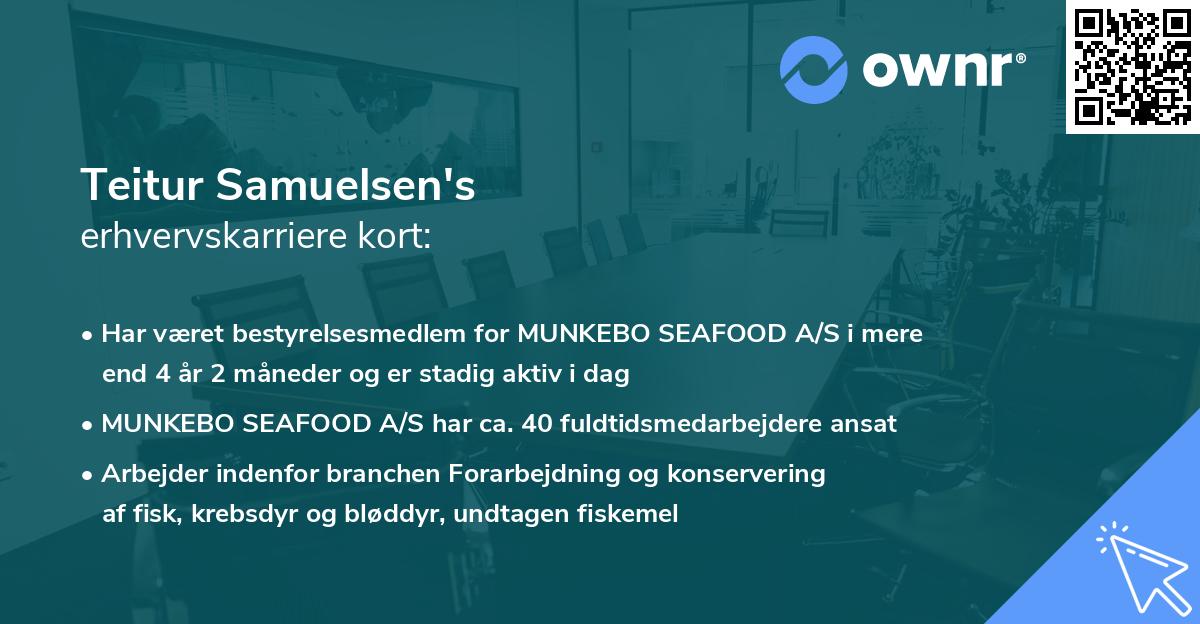 Teitur Samuelsen's erhvervskarriere kort