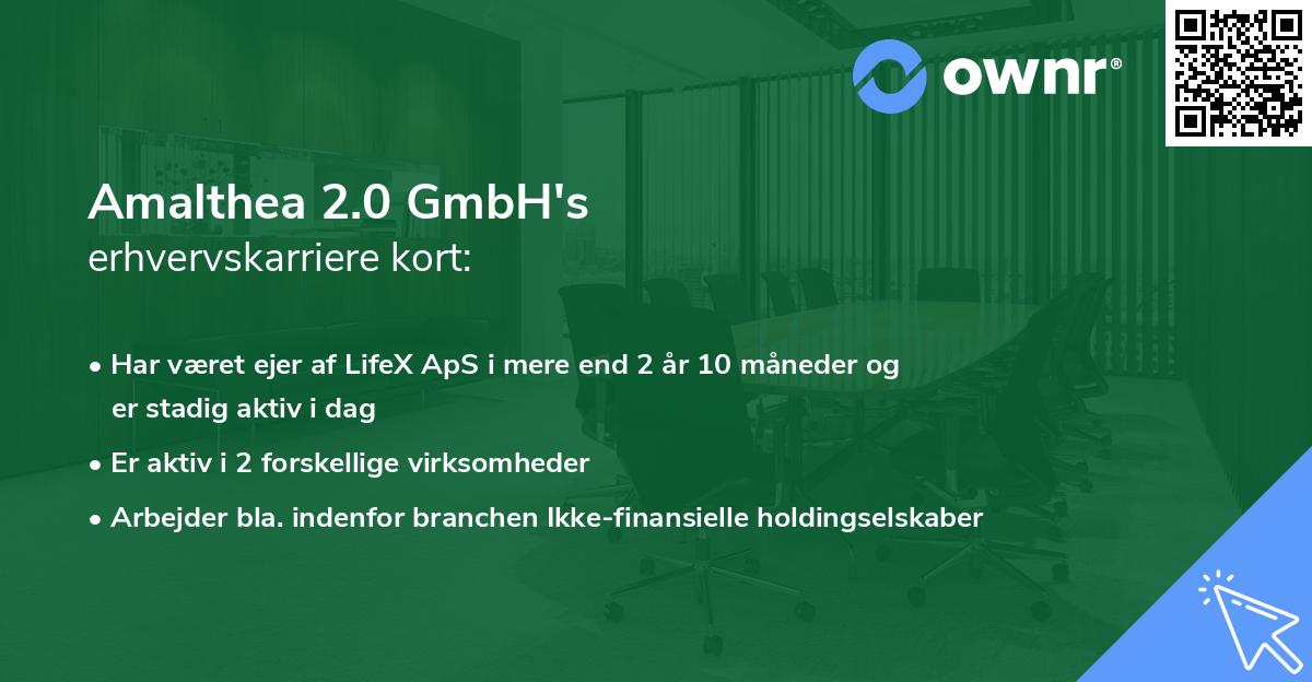 Amalthea 2.0 GmbH's erhvervskarriere kort