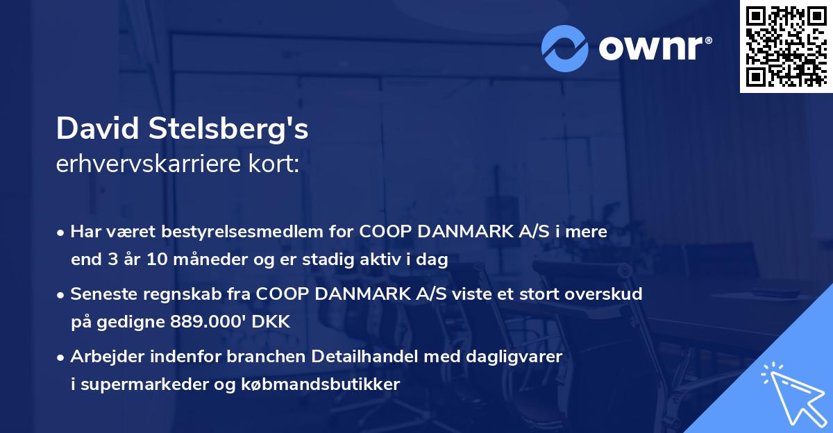 David Stelsberg's erhvervskarriere kort
