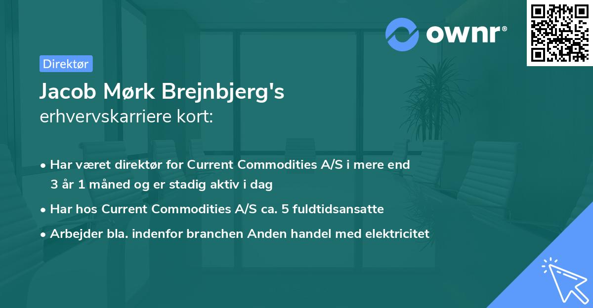 Jacob Mørk Brejnbjerg's erhvervskarriere kort